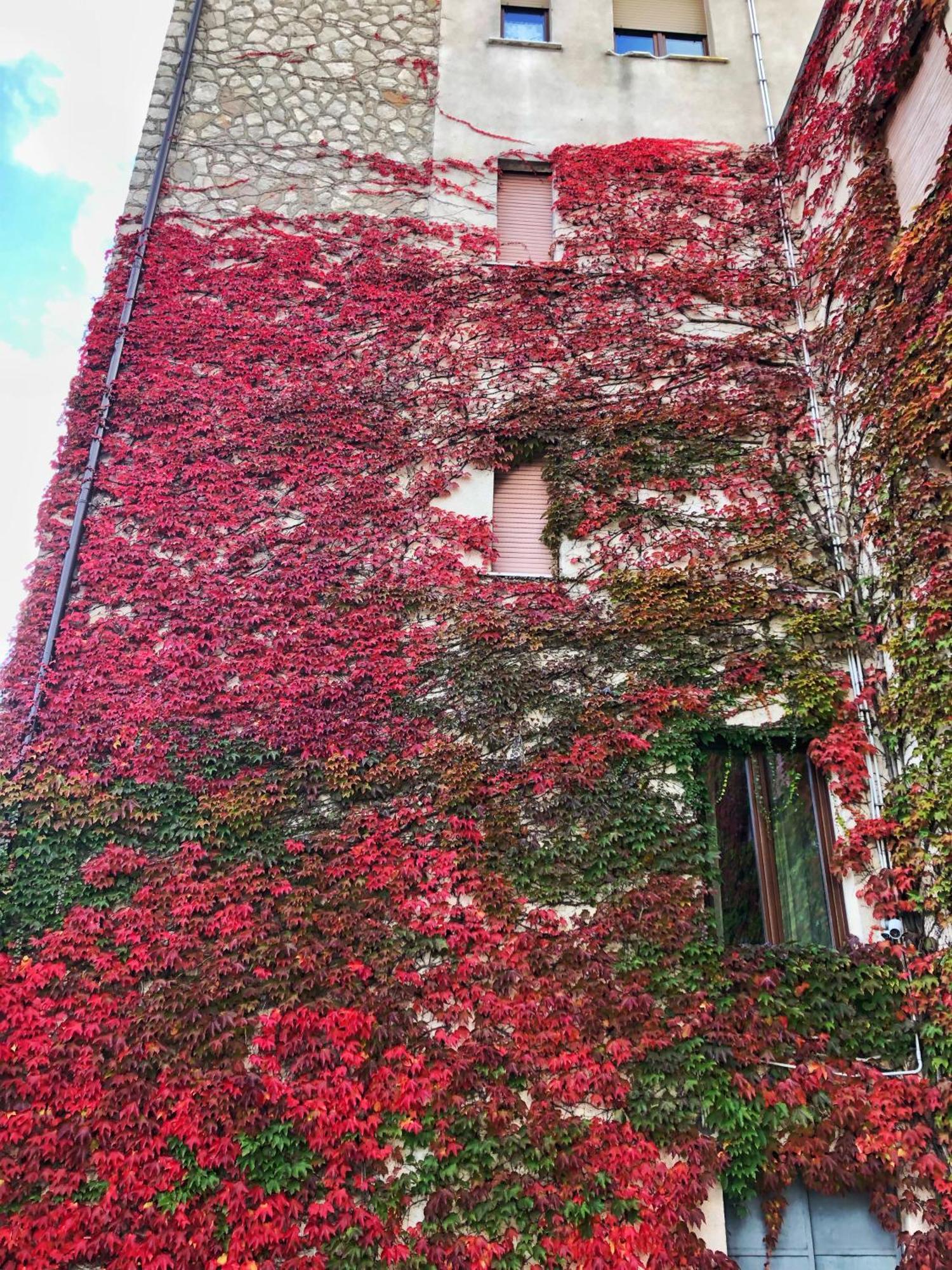 Hotel Colucci Nusco Eksteriør billede